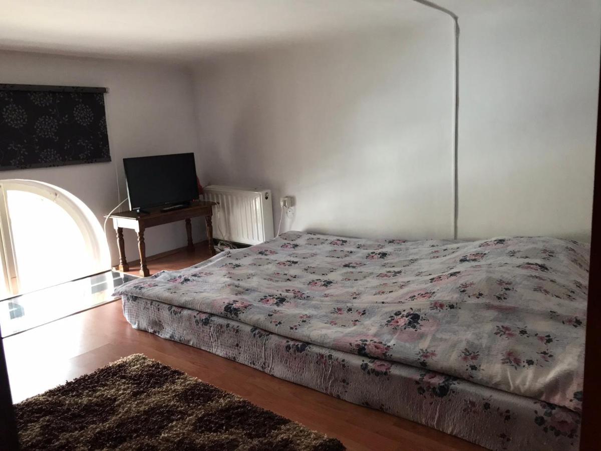 Apartament Andreea Târgu-Mureş エクステリア 写真